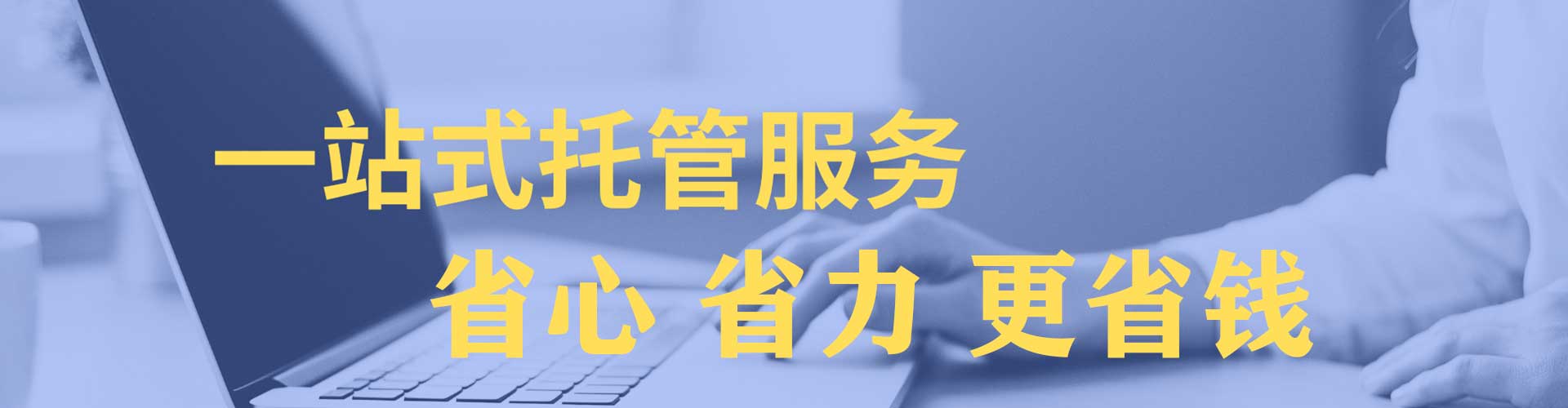 定远sem托管